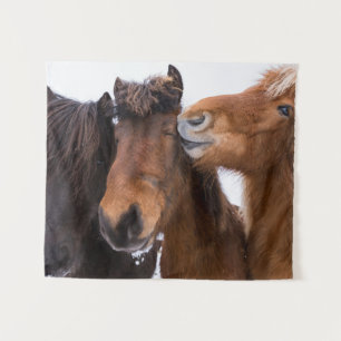 Tapiz Amigos del Caballo Islandés, Islandia