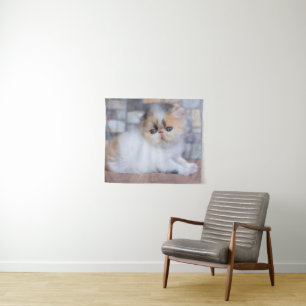 Tapiz Animales de bebé más afectados Calico Persian Ki