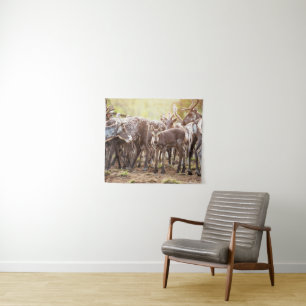 Tapiz Animales de bebé más afectados   Renos de Svalbard