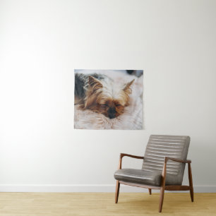 Tapiz Animales de bebé más afectados Yorkshire Terrier