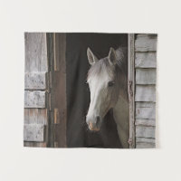 Animales del caballo gris mare