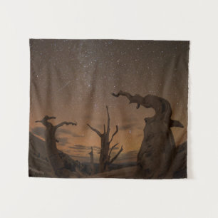 Tapiz Antiguo bosque de pinos de Bristlecone   Californi