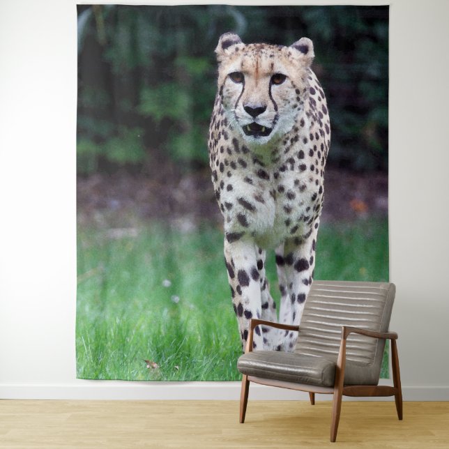 Tapiz Aqua_Cheetah_20180103 (In situ)