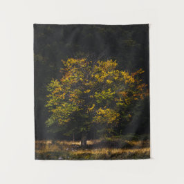 Tapiz Árbol de colores otoñales