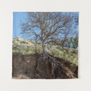 Tapiz Árbol desnudo en la montaña durante el día