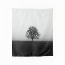 Árbol solitario en niebla negro y blanco