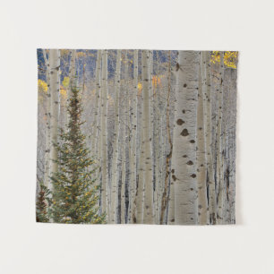 Tapiz Arboledas de Aspen de Otoño Montañas Rocosas de