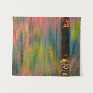 Tapiz Árboles de arce   Parque estatal de Silver Falls