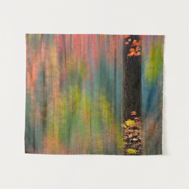 Tapiz Árboles de arce | Parque estatal de Silver Falls (Anverso (horizontal))
