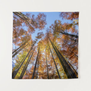 Tapiz Árboles otoñales empapados en sol