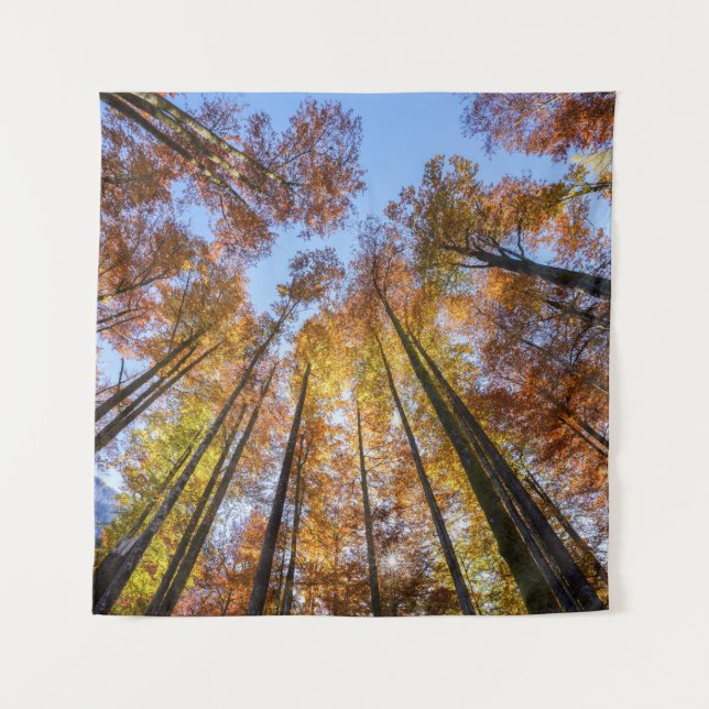 Tapiz Árboles otoñales empapados en sol (Anverso)