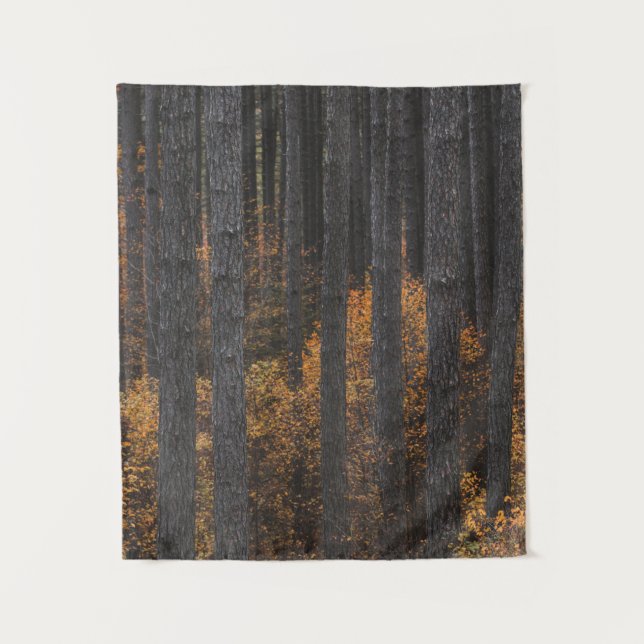 Tapiz Árboles y follaje otoñal de oro (Anverso)