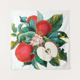 Tapiz Arreglo antiguo de manzanas botánicas, manzana t