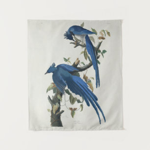 Tapiz Arrendajo de Columbia de Audubon Urraca de gargant