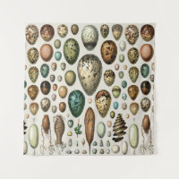Arte de huevo de pájaro vintage de Adolphe Millot