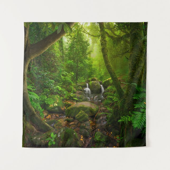 Tapiz Asian tropical rainforestjungle,forest,environment (Anverso)