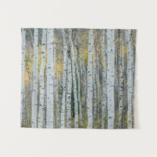 Tapiz Aspen Tree Trunks Aspen, Colorado