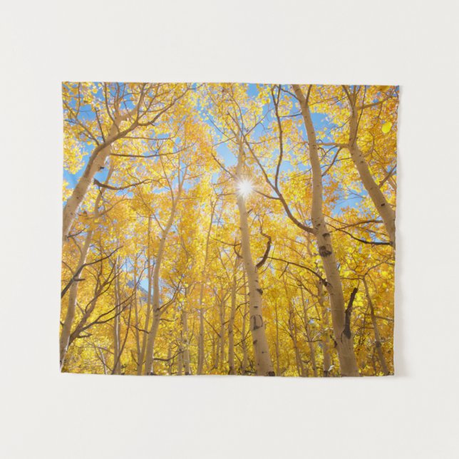 Tapiz Aspen Trees | Sierra Nevada, CA (Anverso (horizontal))