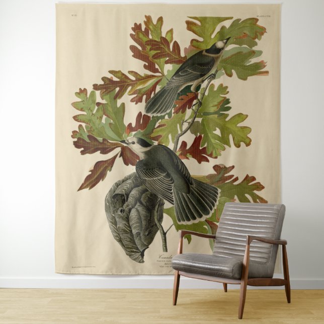 Tapiz Audobon Canada Jay (In situ)