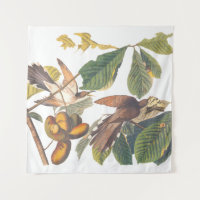 Audubon Yellow Bilckoo
