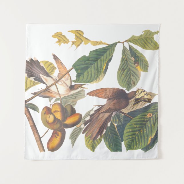 Tapiz Audubon Yellow Bilckoo (Anverso)