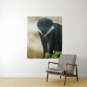 Tapiz Baby L'Hoest Monkey