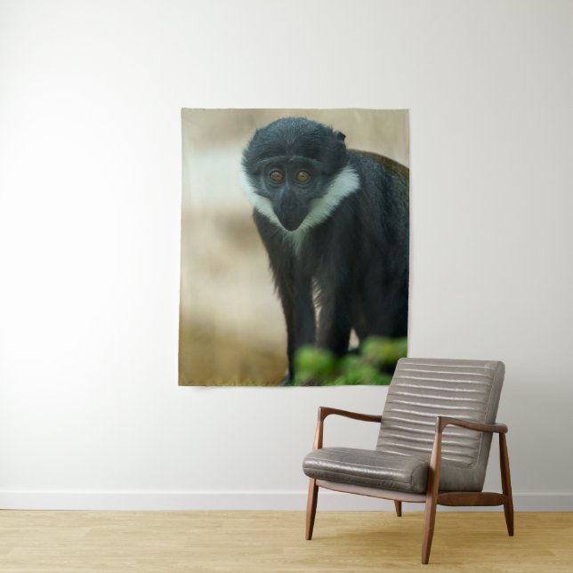 Tapiz Baby L'Hoest Monkey (In situ)