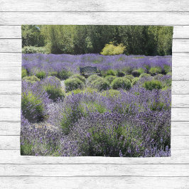Tapiz Banco en medio de un campo de lavanda