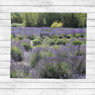 Tapiz Banco en medio de un campo de lavanda