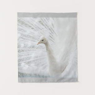 Tapiz Bellas plumas de pavo real blanco