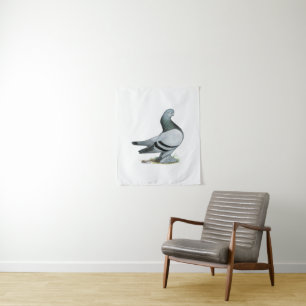 Tapiz Berliner Tumbler Pigeon Blue Bar