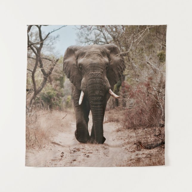 TAPIZ BLACK ELEPHANT WALKING ON BROWN SAND (Anverso)