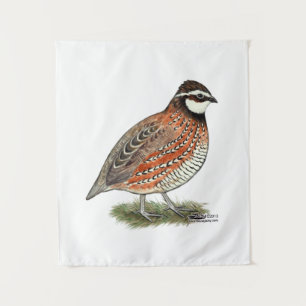 Tapiz Bobwhite Quail Rooster
