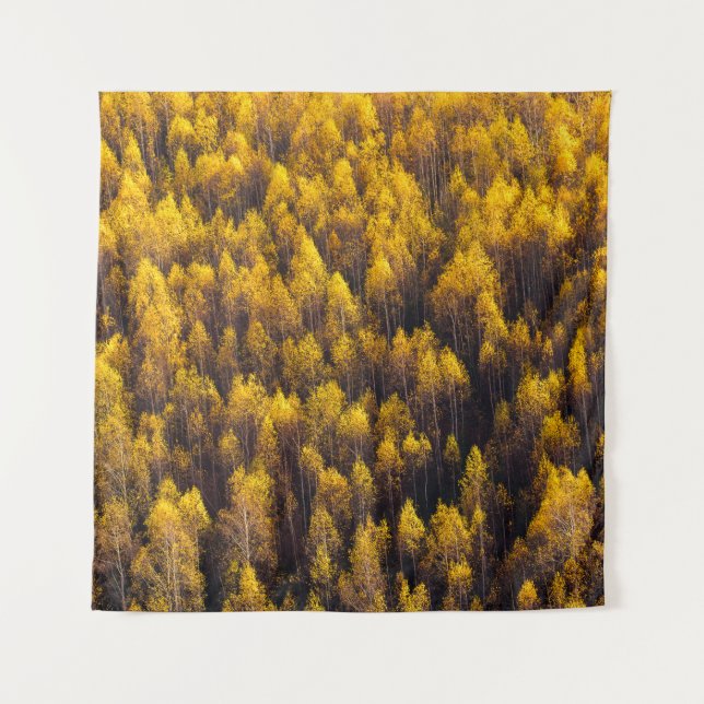 TAPIZ BONITO BOSQUE DE PINOS (Anverso)