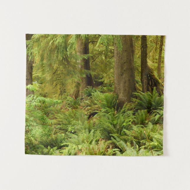 Tapiz Bosque exuberante y helechos | Parque Estatal Ecol (Anverso (horizontal))