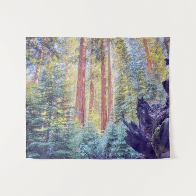 Tapiz Bosque Sequoia (Anverso (horizontal))