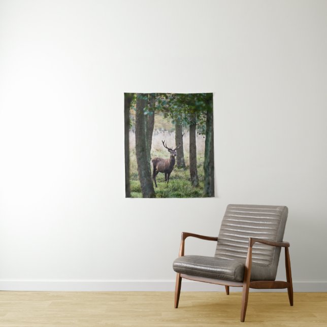 Tapiz Bosques | Woodlands & Red Deer (In situ)
