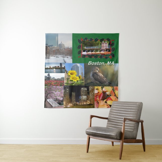 Tapiz Boston, Massachusetts (In situ)
