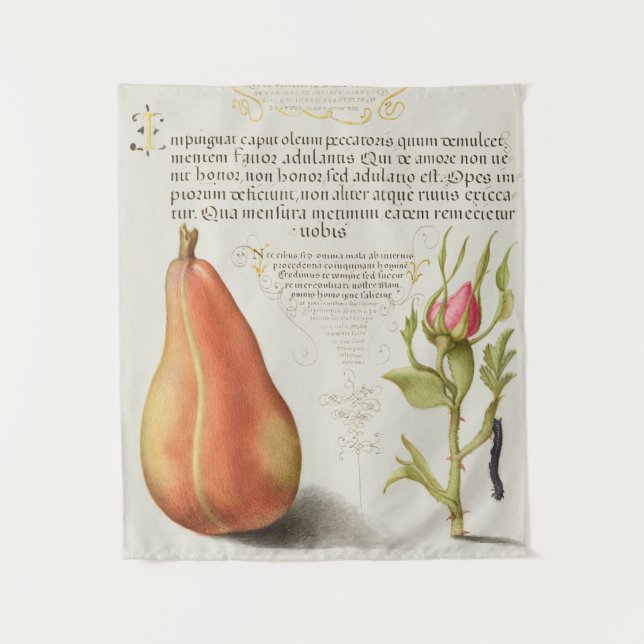 Tapiz botánico vintage (Anverso)