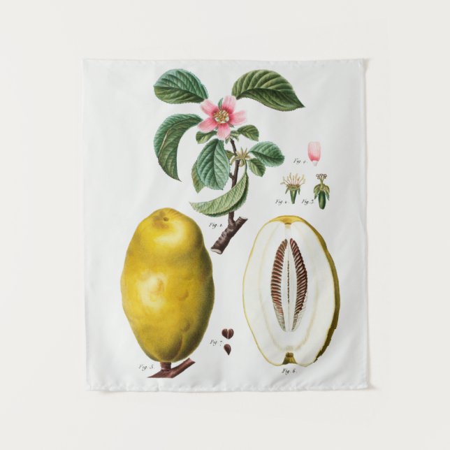 Tapiz botánico vintage (Anverso)