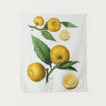 Tapiz botánico vintage