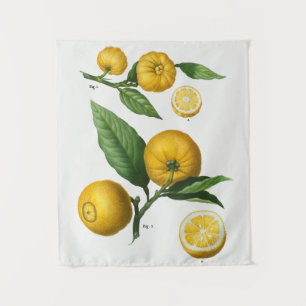 Tapiz botánico vintage