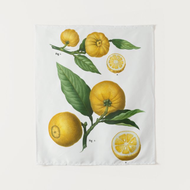 Tapiz botánico vintage (Anverso)