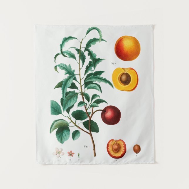 Tapiz botánico vintage (Anverso)