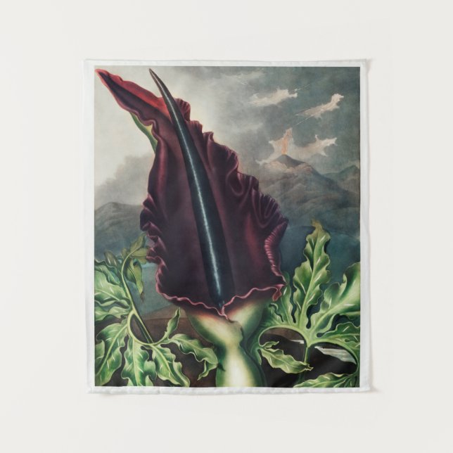 Tapiz botánico vintage (Anverso)