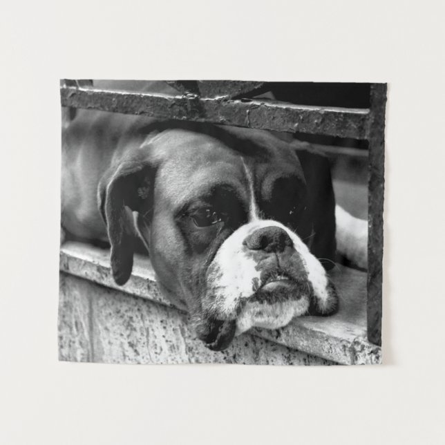 Tapiz Boxer Dog On Windowsill wtcna (Anverso (horizontal))