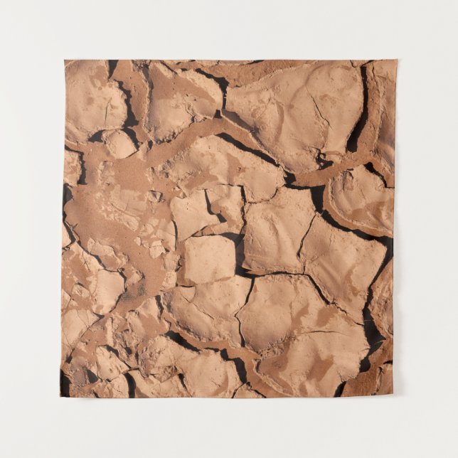 Tapiz Brown soils (Anverso)