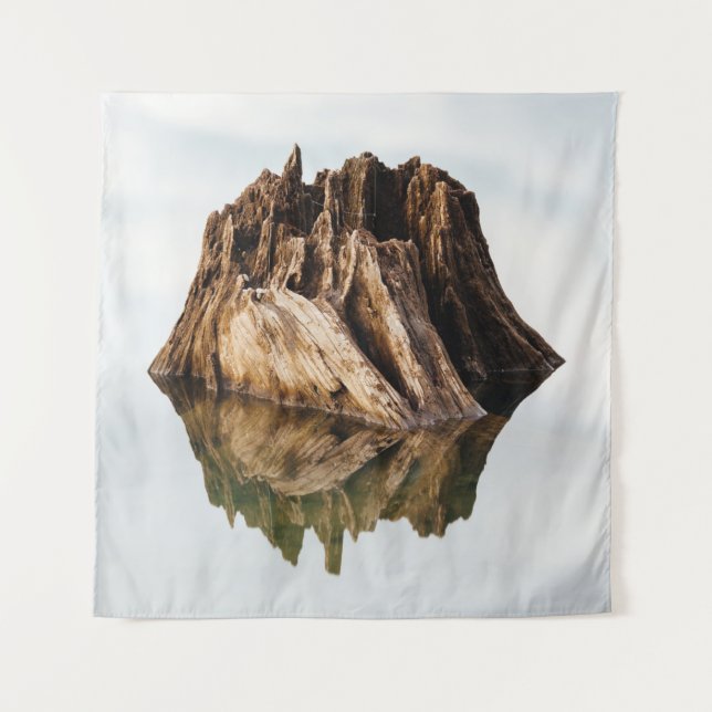 TAPIZ BROWN WOODEN FRAME (Anverso)