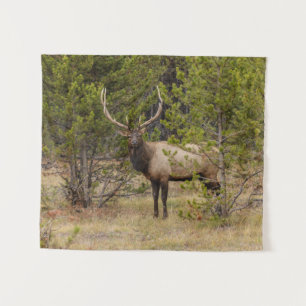 Tapiz Bull Elk   En el Parque Nacional Yellowstone