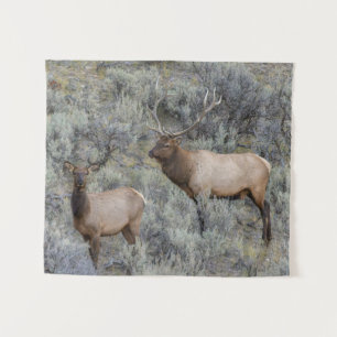 Tapiz Bull Elk   Parque nacional Yellowstone, Wyoming